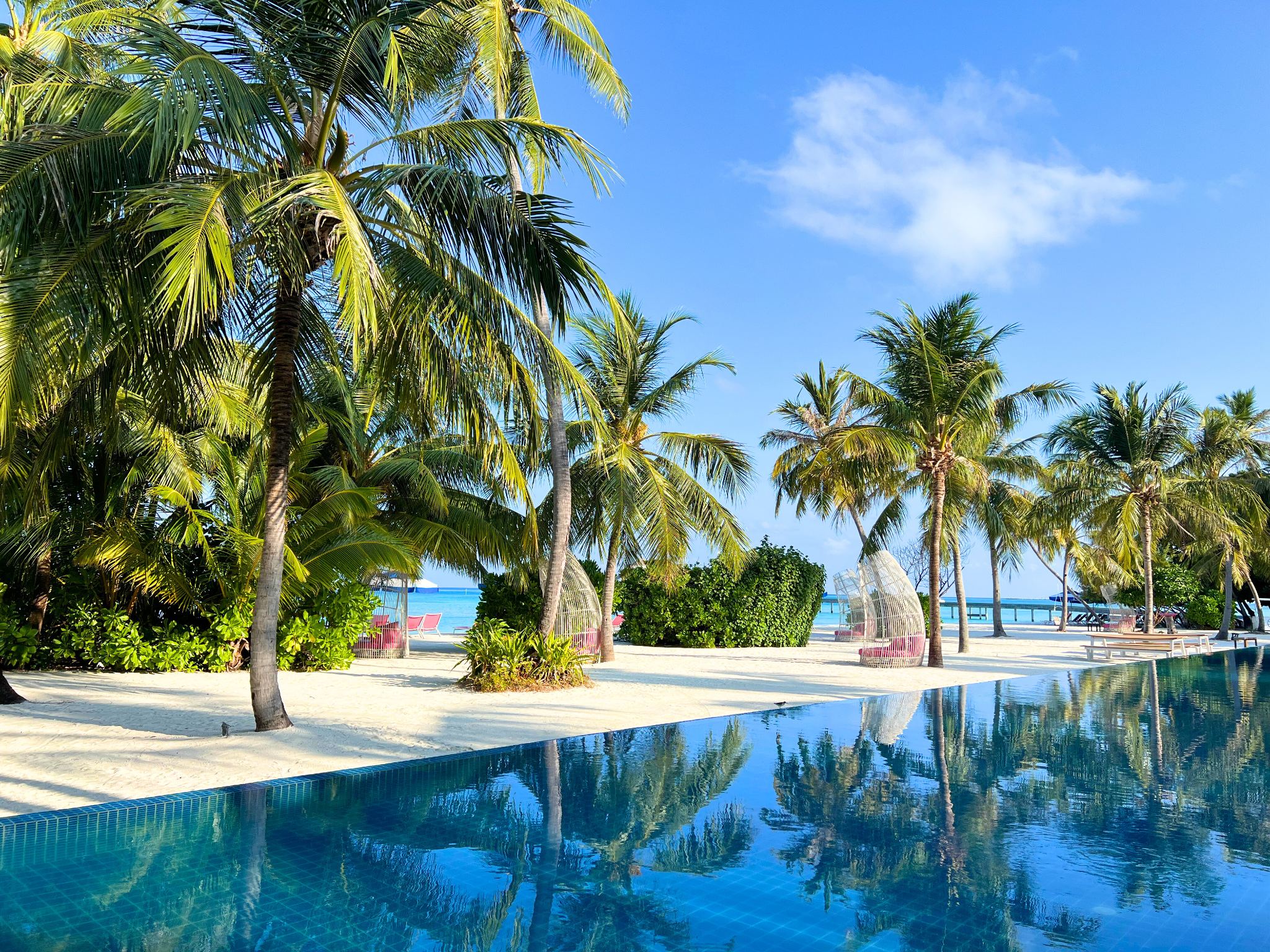 Part of a pool with palms and sand